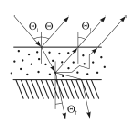 Icon128_Epidermis