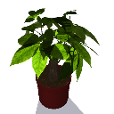 Icon128_Plant